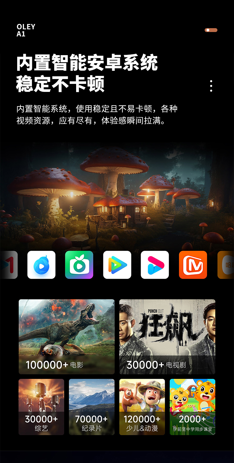 投影仪详情_09.jpg